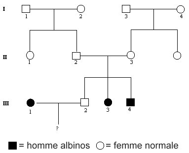 albinos arbre genetique.jpg